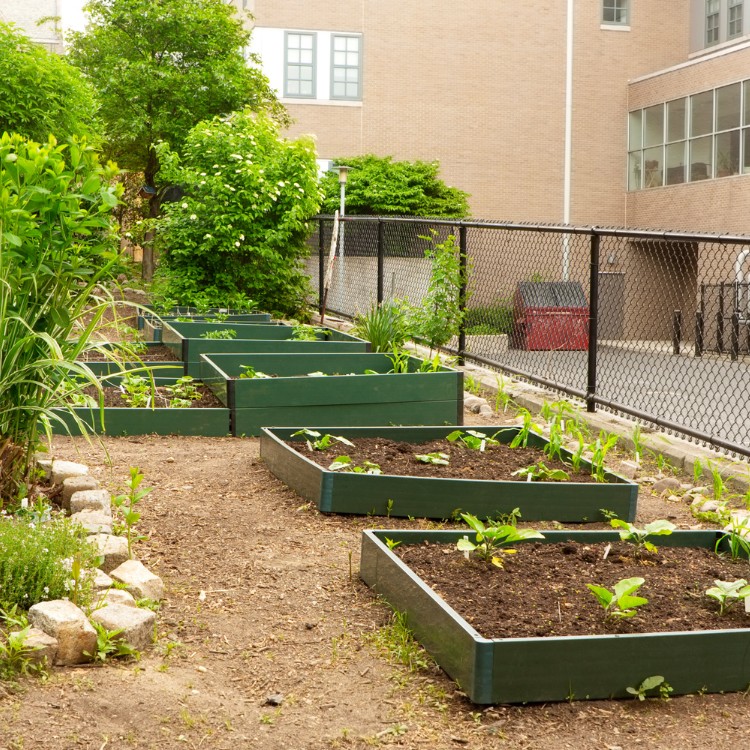 Gardening and Landscaping in Humboldt, IA