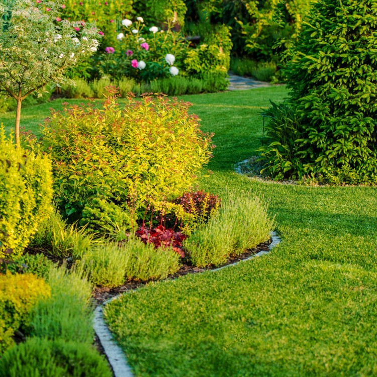 Gardening and Landscaping in Humboldt, IA