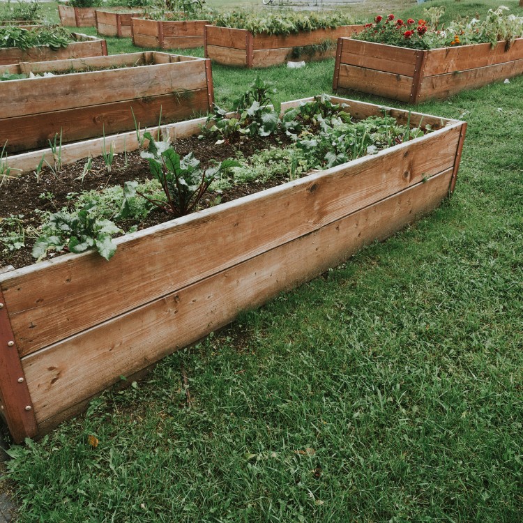 Gardening and Landscaping in Humboldt, IA